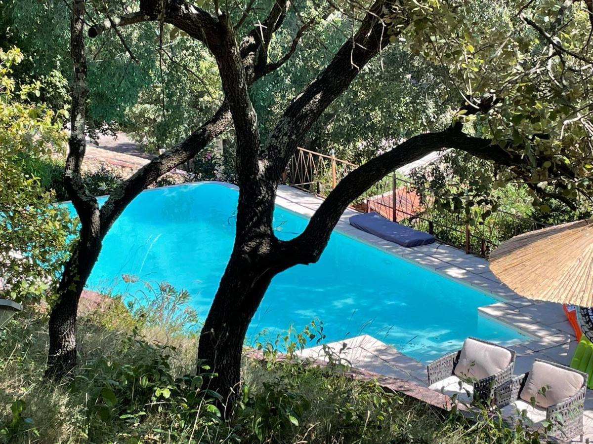 Vila Jolie Annexe Du Mas Dans Le Coeur De La Garrigue Nimoise Nîmes Exteriér fotografie